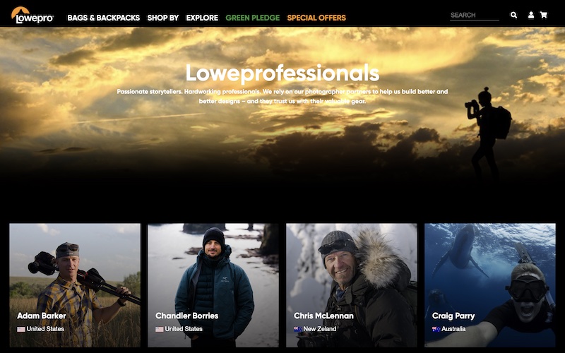 Loweprofessionals